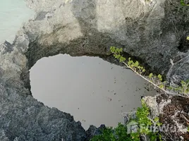  Grundstück zu verkaufen in Sumba Barat, East Nusa Tenggara, Sumba Barat