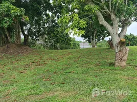  Grundstück zu verkaufen in Chiang Rai, Huai Sak, Mueang Chiang Rai, Chiang Rai