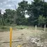  Land for sale in Mae Rim Chiang Mai, Rim Nuea, Mae Rim, Chiang Mai