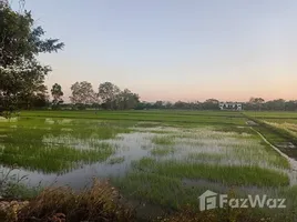ขายที่ดิน ใน เชียงใหม่, สันโป่ง, แม่ริม, เชียงใหม่