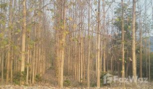 N/A Land for sale in Bo Rang, Phetchabun 