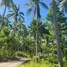  Land for sale in Bo Phut, Surat Thani, Bo Phut, Koh Samui