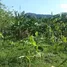  Grundstück zu verkaufen im Puerto Plata, San Felipe De Puerto Plata