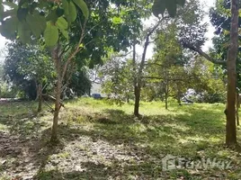 ขายที่ดิน ใน เกาะสมุย, สุราษฎร์ธานี, มะเร็ต, เกาะสมุย