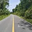  Land for sale in Phuket, Thep Krasattri, Thalang, Phuket
