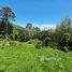 Terreno (Parcela) en venta en Maret, Surat Thani, Maret, Koh Samui, Surat Thani, Tailandia