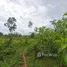  Land for sale in Thep Krasattri, Phuket, Thep Krasattri