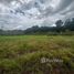  Terrain for sale in Rio Preto Da Eva, Amazonas, Rio Preto Da Eva