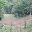 Cartago 5 Hectares Land on the Main Road for Sale in Turrialba N/A 土地 售 