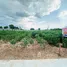  Land for sale in Mueang Nakhon Ratchasima Nakhon Ratchasima, Suranari, Mueang Nakhon Ratchasima, Nakhon Ratchasima