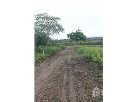 在Santa Elena, Santa Elena出售的 土地, Manglaralto, Santa Elena