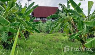 N/A Land for sale in Don Kaeo, Chiang Mai 