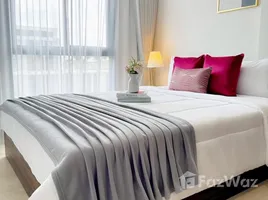 1 Bedroom Condo for rent at Noble Nue Cross Khu Khot, Khu Khot, Lam Luk Ka, Pathum Thani