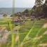 10 Bedroom House for sale in Nakhon Ratchasima, Mittraphap, Sikhio, Nakhon Ratchasima