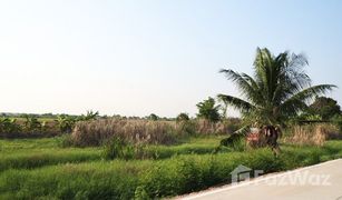 N/A Grundstück zu verkaufen in Bang Luang, Pathum Thani 