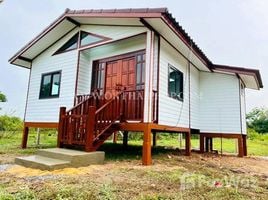  Land for sale in Bueng Nam Rak, Pathum Thani, Bueng Nam Rak, Thanyaburi