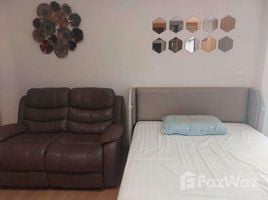1 Bedroom Condo for rent at The Link Sukhumvit 50, Phra Khanong, Khlong Toei, Bangkok, Thailand