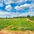  Land for sale in Huai Bong, Nakhon Ratchasima, Huai Bong