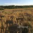  Terreno (Parcela) en venta en Lampang, Tha Pha, Ko Kha, Lampang