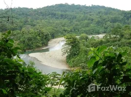  Land for sale in Limon, Limon, Limon