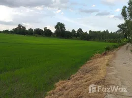 在那空沙旺出售的 土地, Phanom Rok, Tha Tako, 那空沙旺