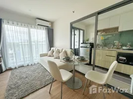 1 Bedroom Apartment for rent at Phyll Phuket by Central Pattana, Wichit