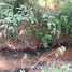 Земельный участок for sale in Nong Thale, Краби, Nong Thale, Mueang Krabi, Краби