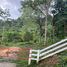  Land for sale in Chalong, Phuket Town, Chalong