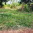  Land for sale in Nakhon Phanom, Ban Kho, Phon Sawan, Nakhon Phanom