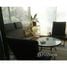 2 Bedroom Apartment for rent at Santo Domingo, Santo Domingo, San Antonio, Valparaiso, Chile