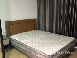 1 Schlafzimmer Wohnung zu vermieten im The One Plus Grand Ramkhamhaeng, Hua Mak