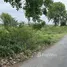  Land for sale in Makhun Wan, Chiang Mai, Makhun Wan