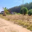 ขายที่ดิน ใน พนานิคม, ระยอง, พนานิคม, นิคมพัฒนา, ระยอง, ไทย