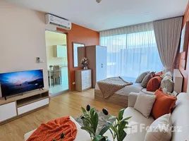 1 Schlafzimmer Appartement zu vermieten im Best Point, Wichit, Phuket Town, Phuket