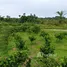  Terrain for sale in Brésil, Presidente Figueiredo, Amazonas, Brésil