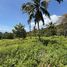  Земельный участок for sale in Koh Phangan, Сураттани, Koh Phangan, Koh Phangan