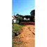  Land for sale in São Paulo, Presidente Epitacio, Presidente Epitacio, São Paulo