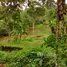  Terrain for sale in Cundinamarca, El Colegio, Cundinamarca