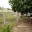  Land for sale in Saraburi, Dao Rueang, Mueang Saraburi, Saraburi