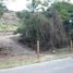  Land for sale in Cocle, El Harino, La Pintada, Cocle