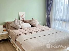 อพาร์ทเม้นท์ 1 ห้องนอน ให้เช่า ในโครงการ แฮปปี้ี้ เพลส คอนโด, สาคู