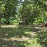  Terreno (Parcela) en venta en Costa Rica, Orotina, Alajuela, Costa Rica