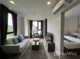 1 Bedroom Condo for rent at THE BASE Central Phuket, Wichit