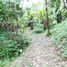  Land for sale in Choeng Thale, Thalang, Choeng Thale