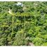  Land for sale in Bay Islands, Roatan, Bay Islands