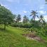  Land for sale in Taling Ngam, Koh Samui, Taling Ngam