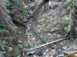  Grundstück zu verkaufen in Ko Pha-Ngan, Surat Thani, Ko Tao, Ko Pha-Ngan