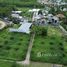  Land for sale in Choeng Thale, Thalang, Choeng Thale