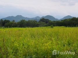 ขายที่ดิน ใน ขนงพระ, นครราชสีมา, ขนงพระ, ปากช่อง