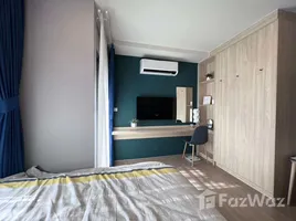 Studio Appartement zu vermieten im The Muve Bangna, Bang Na, Bang Na, Bangkok